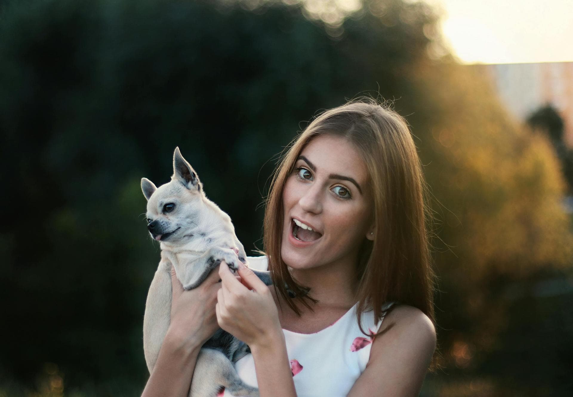 Dog & Cat Vets in South Dublin City